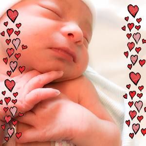 Meet your Posher, Karla